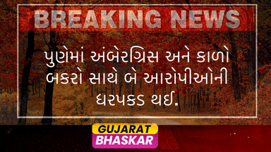 arrest-of-ambergris-and-black-buck-horns-in-pune