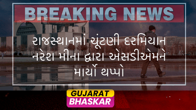 congress-rebel-naresh-meena-slaps-sdm-rajasthan