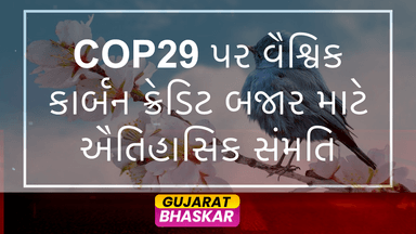 cop29-global-carbon-credit-market-agreement