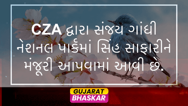 cza-approves-lion-safari-sanjay-gandhi-national-park