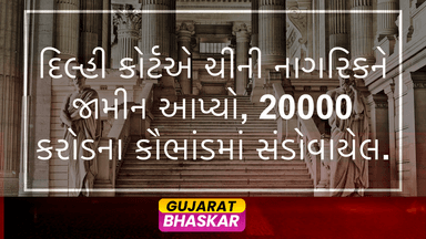 delhi-court-bail-chinese-national-vivo-case