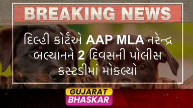 delhi-court-sends-aap-mla-naresh-balyan-to-police-custody