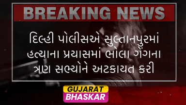 delhi-police-arrests-bhola-gang-members