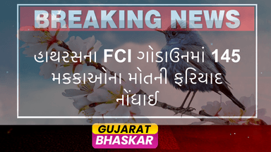 hathras-fci-godown-monkeys-death-fir
