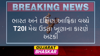 ind-vs-sa-t20i-match-halted-due-to-flying-ants