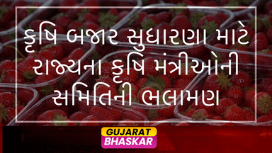 krsihi-bajaar-sudharana-samiti