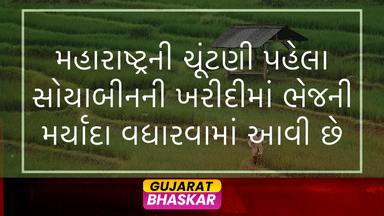 maharashtra-soyabean-procurement-moisture-limit-increased