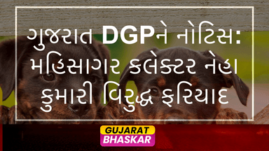 mahisagar-collector-neha-kumari-complaint-gujarat-dgp