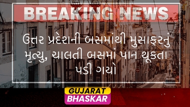 uttar-pradesh-bus-passenger-falls-to-death