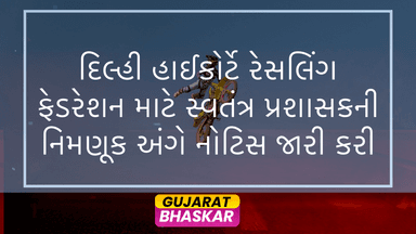 delhi-high-court-independent-administrator-wrestling-federation