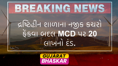 delhi-municipal-corporation-fined-20-lakh-illegal-waste-dumping