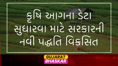 government-agencies-develop-methodology-to-improve-farm-fire-data-accuracy