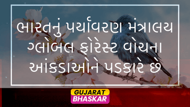 indian-environment-ministry-challenges-global-forest-watch-data