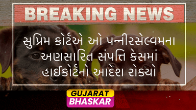 supreme-court-stays-madras-high-court-order-panneerselvam-case